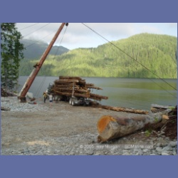 2005_0730_Houghton_Woodlot_Seymour_Inlet.html