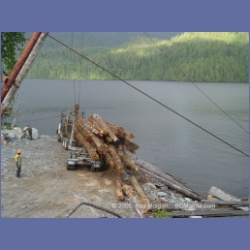 2005_0732_Houghton_Woodlot_Seymour_Inlet.html