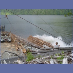 2005_0733_Houghton_Woodlot_Seymour_Inlet.html