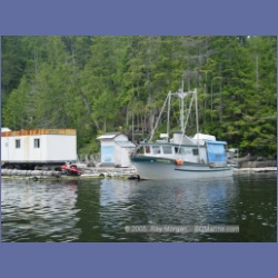 2005_0740_Houghton_Woodlot_Seymour_Inlet.html