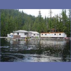 2005_0744_Houghton_Woodlot_Seymour_Inlet.html