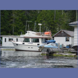 2005_0747_Houghton_Woodlot_Seymour_Inlet.html