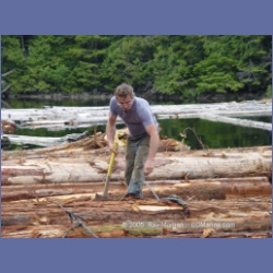 2005_0750_Houghton_Woodlot_Seymour_Inlet.html
