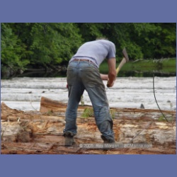2005_0753_Houghton_Woodlot_Seymour_Inlet.html