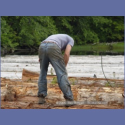 2005_0754_Houghton_Woodlot_Seymour_Inlet.html
