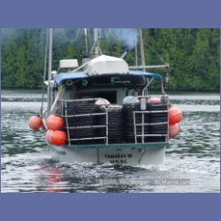 2005_0755_Houghton_Woodlot_Seymour_Inlet.html