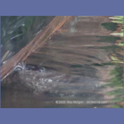 2005_0758_Houghton_Woodlot_Seymour_Inlet.html