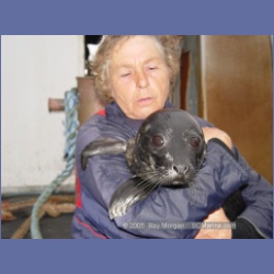 2005_0780_Houghton_Woodlot_Seymour_Inlet.html