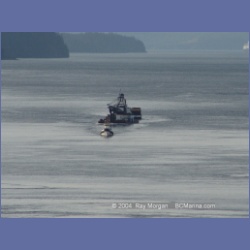 2003_2304_2303_Seymour_Narrows.html