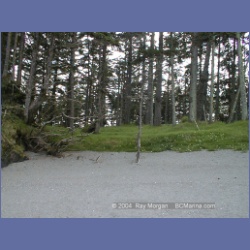 2002_799_Shadwell_Passage_Hope_Island.html