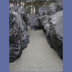 2002_800_Shadwell_Passage_Hope_Island.html