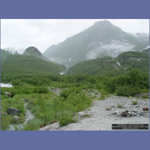 2006_0845_Shakes_Glacier_Stikeen_River.JPG