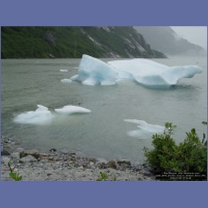2006_0848_Shakes_Glacier_Stikeen_River.JPG