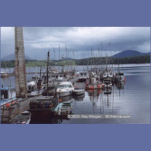 1997_shearwater100.jpg