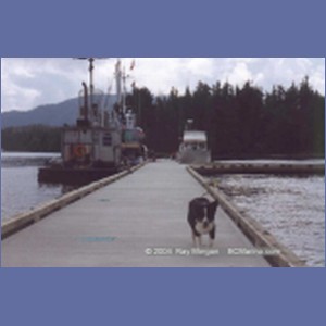 1997_shearwater102.jpg