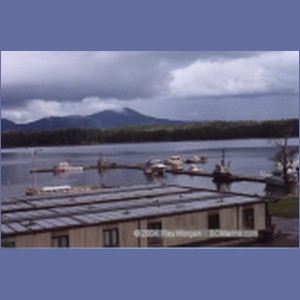 1997_shearwater147.jpg