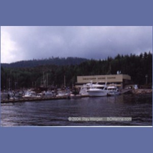 1997_shearwater148.jpg