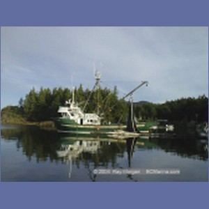 1998_606_Shearwater.jpg