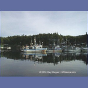 1998_607_Shearwater.jpg