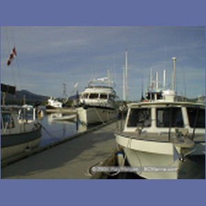 1998_608_Shearwater.jpg