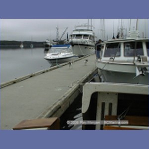 1998_609_Shearwater.jpg