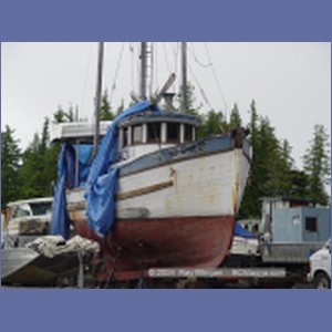 2003_4183_Shearwater_Marine.JPG