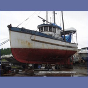2003_4185_Shearwater_Marine.JPG