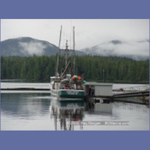 2003_4189_Shearwater_Marine.JPG
