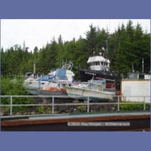 2003_4191_Shearwater_Marine.JPG