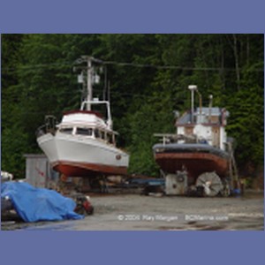 2003_4192_Shearwater_Marine.JPG