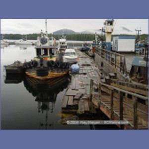 2003_4193_Shearwater_Marine.JPG