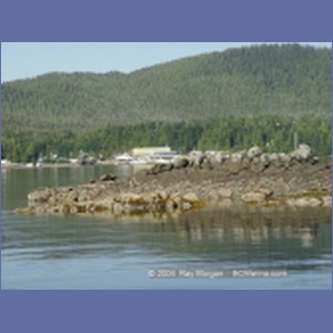 2004_7755_Shearwater_Marine.JPG