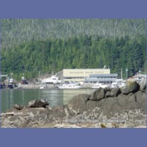 2004_7757_Shearwater_Marine.JPG
