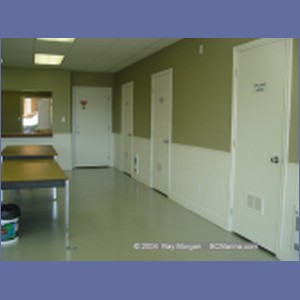 2004_7776_Shearwater_Marine.JPG