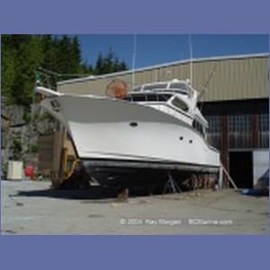 2004_7791_Shearwater_Marine.JPG