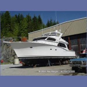 2004_7793_Shearwater_Marine.JPG