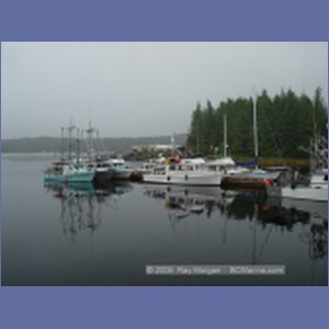 2005_0844_Shearwater_Marina.JPG