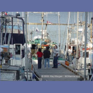 2005_2272_Shearwater_Marine_Centre.JPG