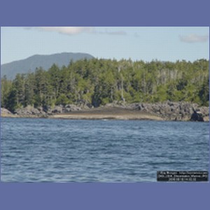 2006_2564_Shearwater_Marine.JPG