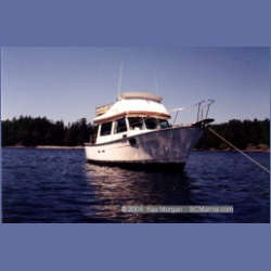1997_shelyann65.html