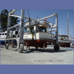 2004_6133_Shelyann.html