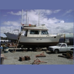 200X_009_ShelyAnn.html