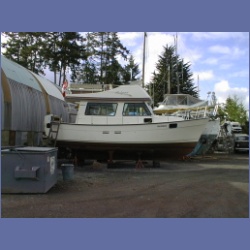 200X_143_ShelyAnn.html