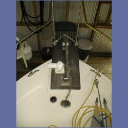 200X_209_ShelyAnn_Windlass.html
