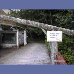 2000_509_Shoal_Bay_Lodge.html