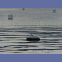 2004_5966_Sidney_Spit.html