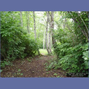 2006_1823_Sitka_Alaska.JPG