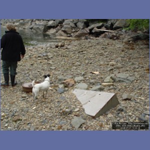 2006_1828_Sitka_Alaska.JPG