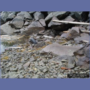 2006_1830_Sitka_Alaska.JPG