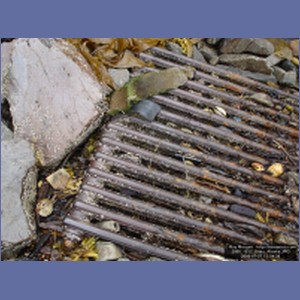 2006_1832_Sitka_Alaska.JPG